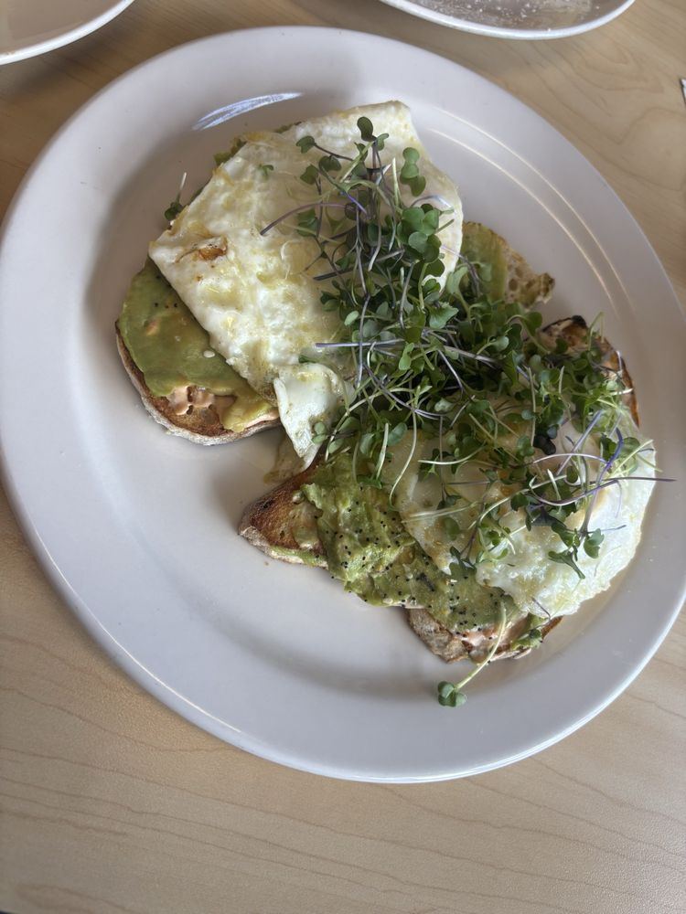 Avocado toast with eggs and sprouts on sourdough